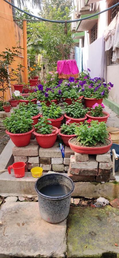 Kiran Guest House Kolkata Exterior photo