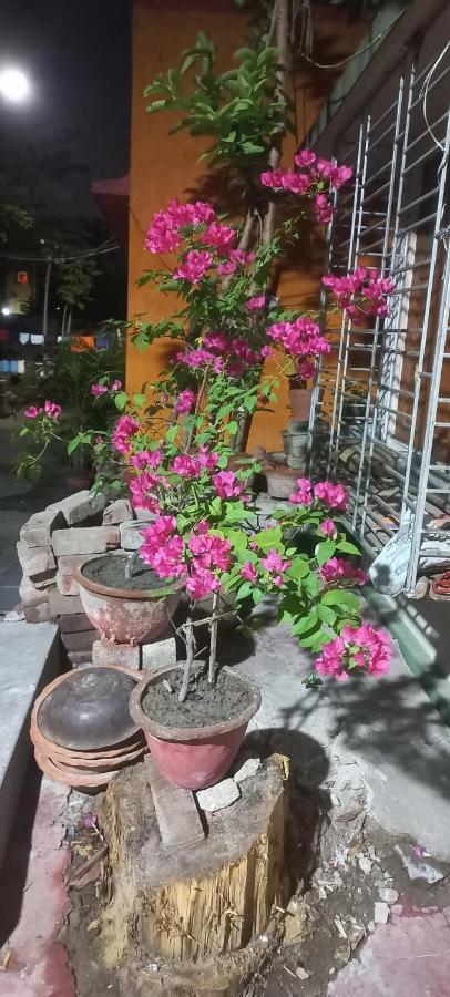 Kiran Guest House Kolkata Exterior photo